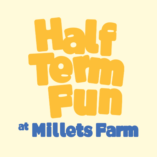 Millets Farm: Bird Box February Half Term 2025