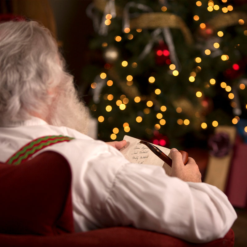 Millets Farm: Christmas Grotto 2025