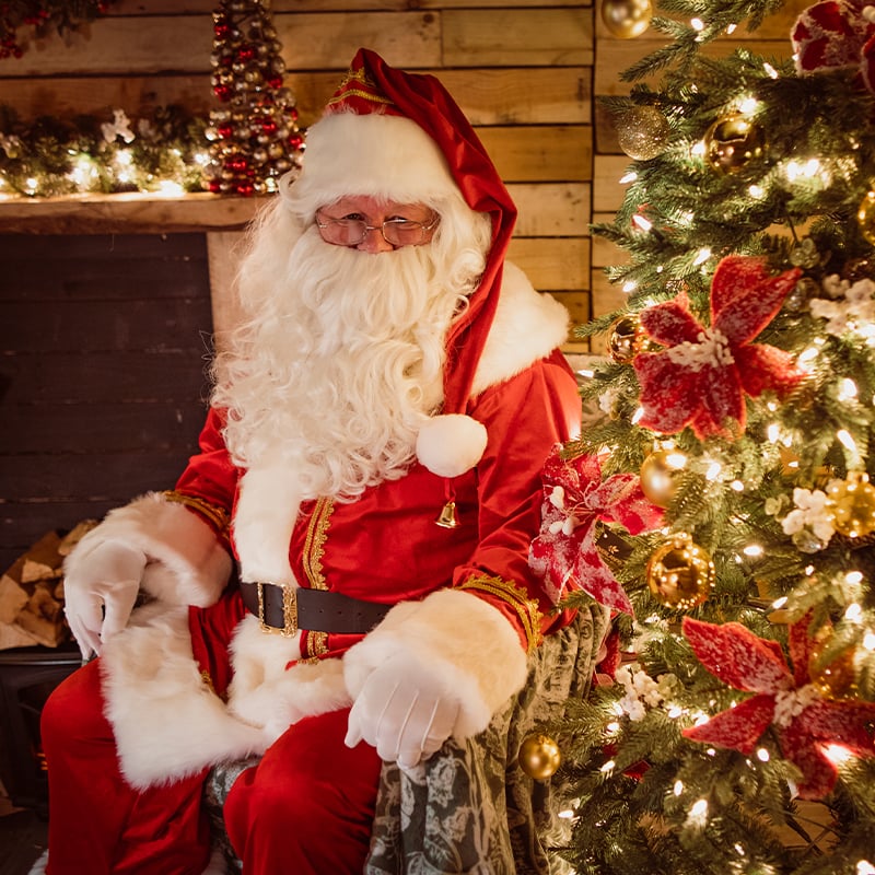 Cheltenham: Christmas Grotto 2026