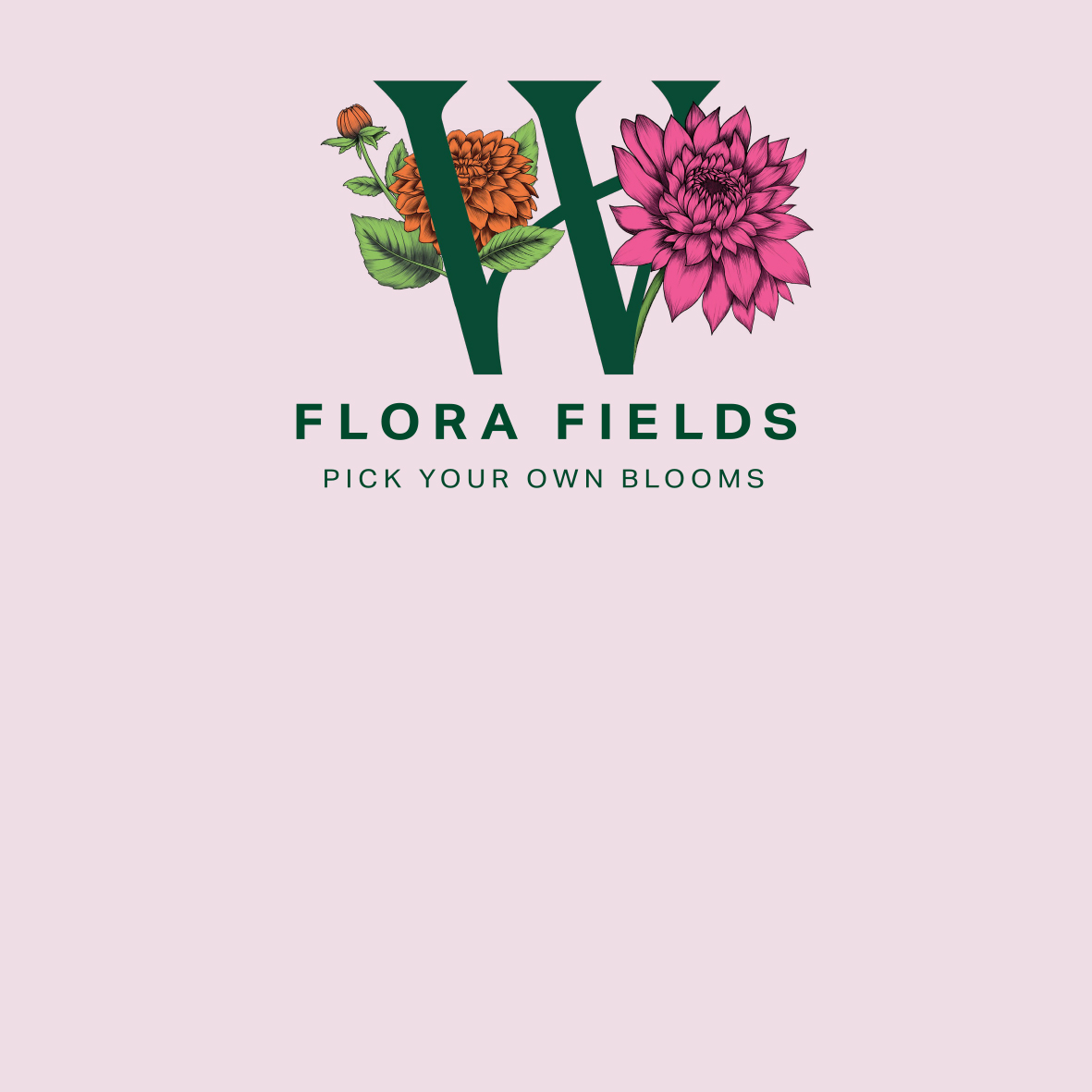 Wychbold: Flora Fields 2024