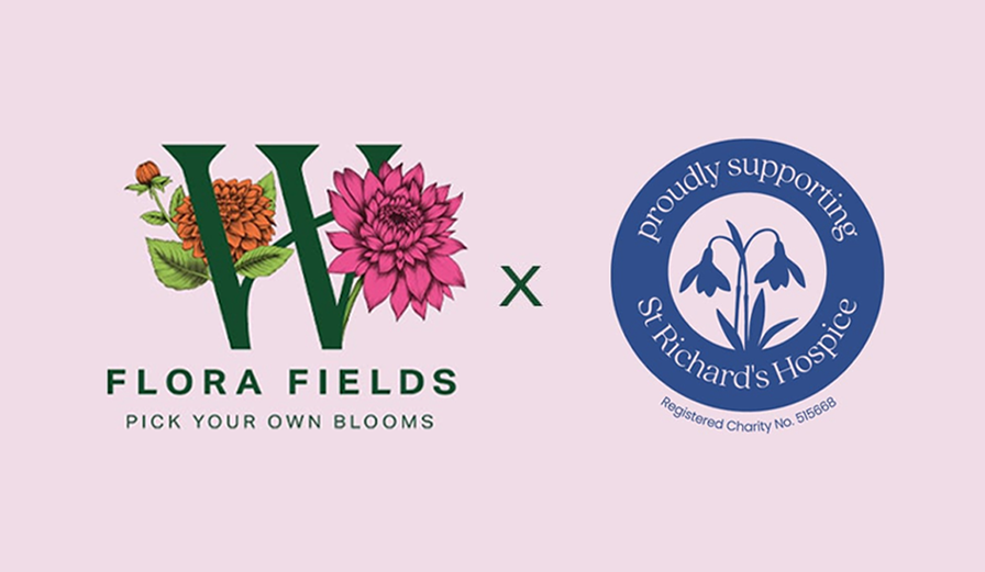 Wychbold: Flora Fields Charity Dahlia Dig Up 2025